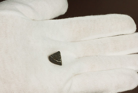 ナミビアで発見されたギベオン隕石(Gibeon meteorite)（その4）