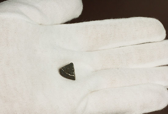 ナミビアで発見されたギベオン隕石(Gibeon meteorite)(その4)