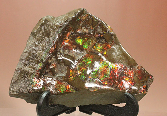 様々な色を反射するアンモライトピース（Ammolite）（その10）