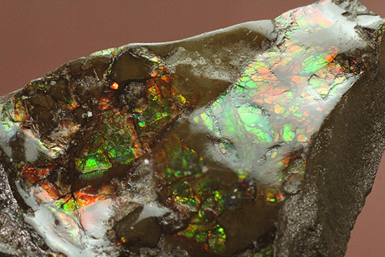 様々な色を反射するアンモライトピース（Ammolite）（その12）