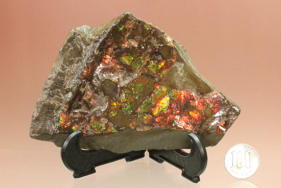 様々な色を反射するアンモライトピース（Ammolite）（その14）