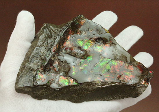 様々な色を反射するアンモライトピース（Ammolite）（その2）