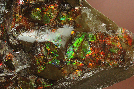 様々な色を反射するアンモライトピース（Ammolite）（その4）