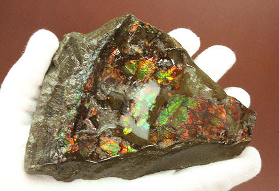 様々な色を反射するアンモライトピース（Ammolite）（その8）