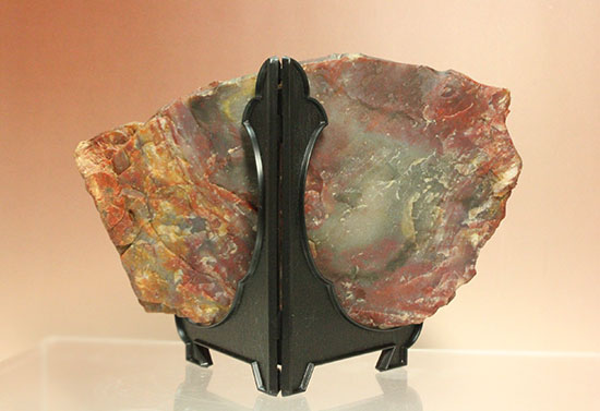 彩り美しいアリゾナ州産木化石（珪化木）（その6）