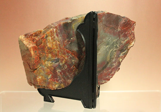 彩り美しいアリゾナ州産木化石（珪化木）（その7）