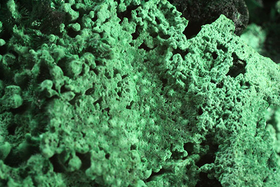 鮮やかな緑色鉱物、その名は翠銅鉱（すいどうこう：Dioptase）（その10）