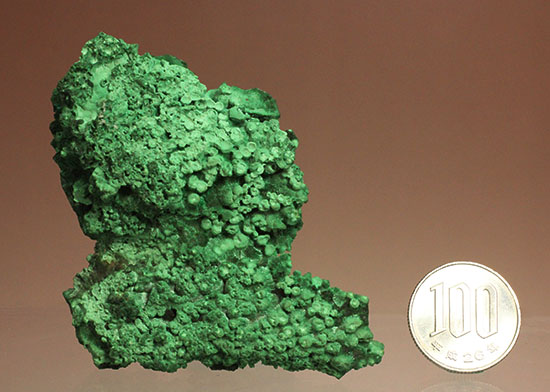 鮮やかな緑色鉱物、その名は翠銅鉱（すいどうこう：Dioptase）（その12）