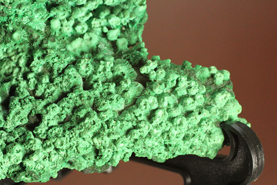 鮮やかな緑色鉱物、その名は翠銅鉱（すいどうこう：Dioptase）（その3）