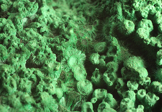 鮮やかな緑色鉱物、その名は翠銅鉱（すいどうこう：Dioptase）（その7）