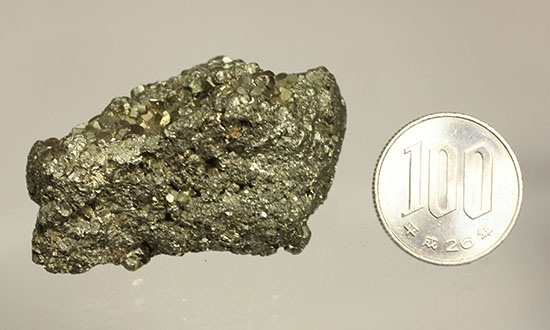 スペインログローニョ産黄鉄鉱(Pyraite)（その11）