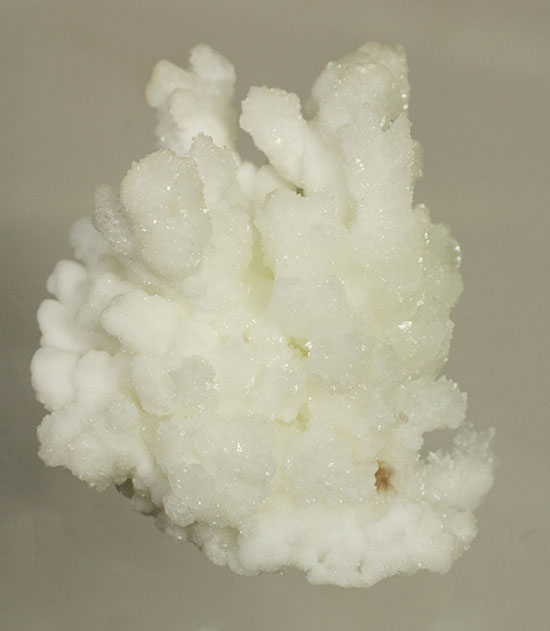 ホワイトでキラキラ！山サンゴこと、メキシコ産の鉱物霰（あられ）石(Aragonite)（その1）