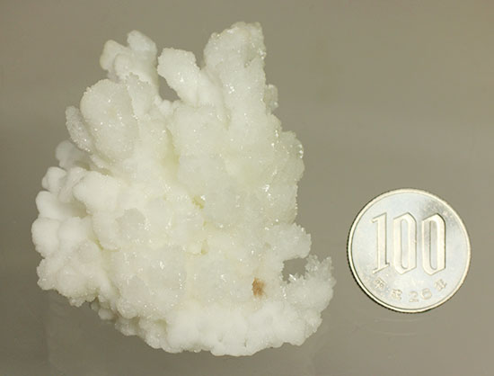 ホワイトでキラキラ！山サンゴこと、メキシコ産の鉱物霰（あられ）石(Aragonite)（その10）