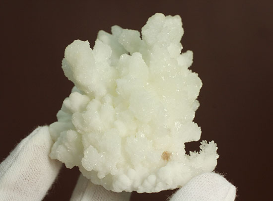 ホワイトでキラキラ！山サンゴこと、メキシコ産の鉱物霰（あられ）石(Aragonite)（その7）