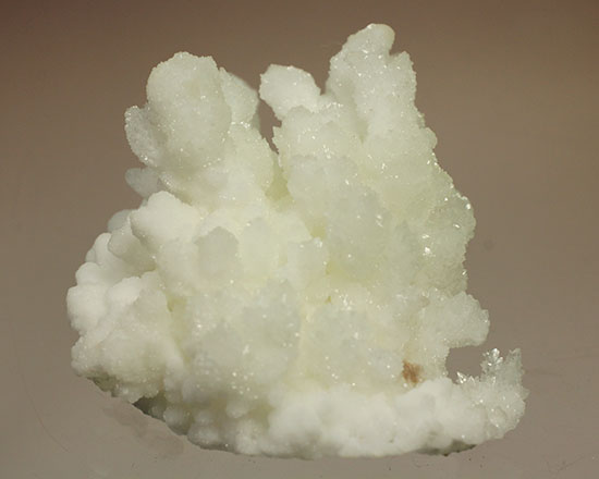 ホワイトでキラキラ！山サンゴこと、メキシコ産の鉱物霰（あられ）石(Aragonite)（その8）