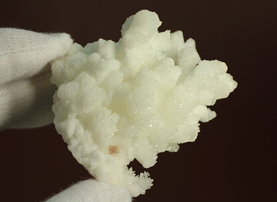 ホワイトでキラキラ！山サンゴこと、メキシコ産の鉱物霰（あられ）石(Aragonite)（その9）