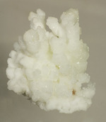 ホワイトでキラキラ！山サンゴこと、メキシコ産の鉱物霰（あられ）石(Aragonite)