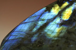 青×黄色の遊色現る！鉱物、ラブラドライト(Labradorite)