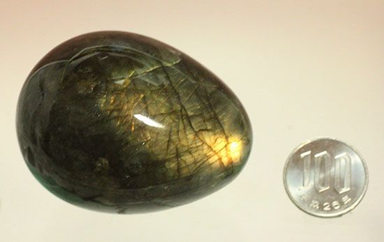 ピータンの卵！？いえいえ、閃光効果を有する、鉱物ラブラドライトです。(Labradorite)（その16）