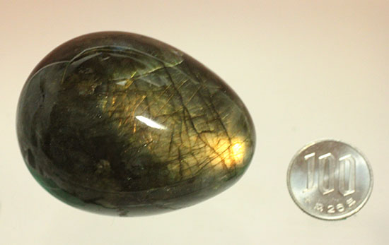 ピータンの卵!?いえいえ、閃光効果を有する、鉱物ラブラドライトです。(Labradorite)(その16)