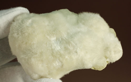 鉱物なのにふわふわです!ラビットテールの別名をもつオケナイトこと 鉱物なのにふわふわです!ラビットテールの別名をもつオケナイトこと