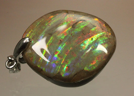 希少色青も見られる、虹色が現れるアンモナイトペンダントトップ(Ammonite)（その14）