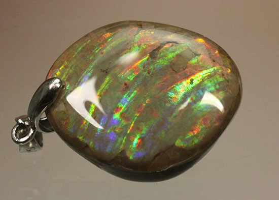 希少色青も見られる、虹色が現れるアンモナイトペンダントトップ(Ammonite)(その14)