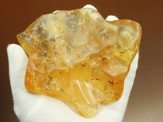 メガサイズ!!!多数の虫が内包された、コーパル標本(Copal)(その6)