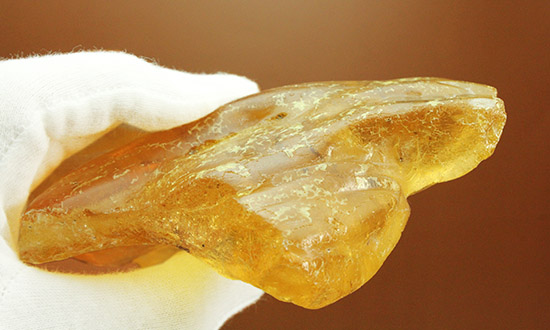 メガサイズ!!!多数の虫が内包された、コーパル標本(Copal)(その8)