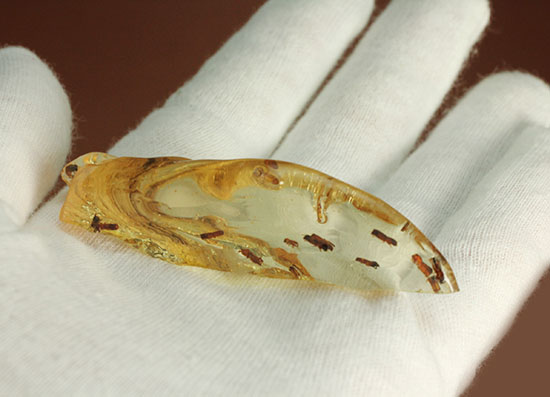 黄色い古代のタイムカプセル!滴る方向が推察される、虫が内包されたコーパル(Copal)(その5)