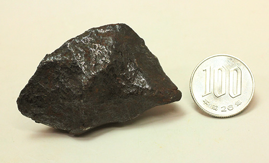 サービスプライス！磁石にばっちりくっつく鉄隕石(Meteorite)（その10）