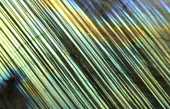 青と黄色の閃光を放つ!両面魅力のラブラドライト(Labradorite)(その8)