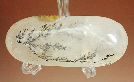 幻想世界を大サイズで。デンドライトが包まれたクオーツ(Dendritic Quartz)(その1)