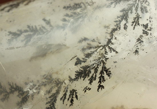 幻想世界を大サイズで。デンドライトが包まれたクオーツ(Dendritic Quartz)(その10)