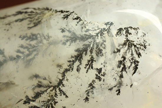 幻想世界を大サイズで。デンドライトが包まれたクオーツ(Dendritic Quartz)(その11)