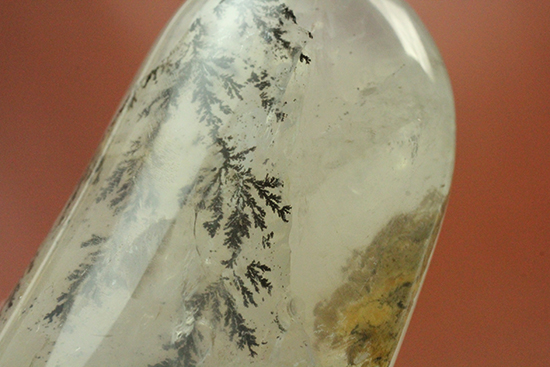 幻想世界を大サイズで。デンドライトが包まれたクオーツ(Dendritic Quartz)(その12)
