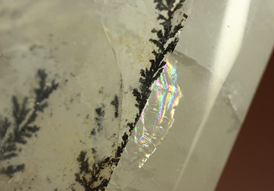 幻想世界を大サイズで。デンドライトが包まれたクオーツ(Dendritic Quartz)(その13)