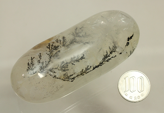 幻想世界を大サイズで。デンドライトが包まれたクオーツ(Dendritic Quartz)(その15)