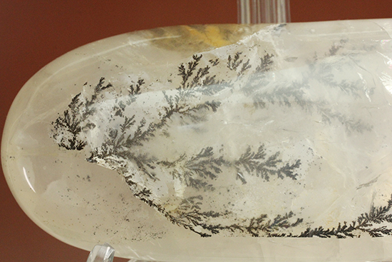 幻想世界を大サイズで。デンドライトが包まれたクオーツ(Dendritic Quartz)(その2)