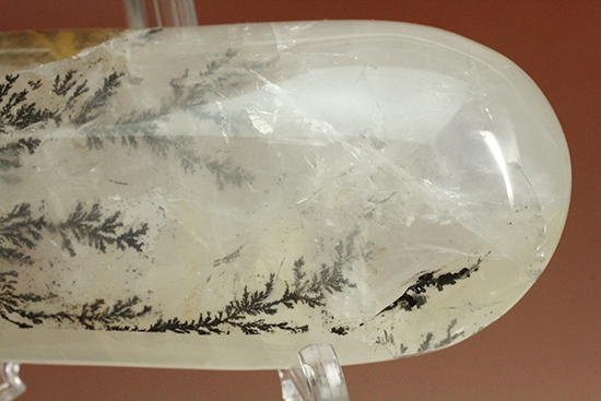 幻想世界を大サイズで。デンドライトが包まれたクオーツ(Dendritic Quartz)(その3)