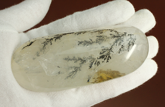 幻想世界を大サイズで。デンドライトが包まれたクオーツ(Dendritic Quartz)(その6)