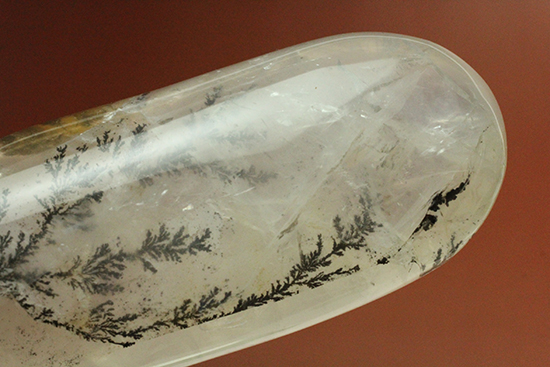 幻想世界を大サイズで。デンドライトが包まれたクオーツ(Dendritic Quartz)(その8)