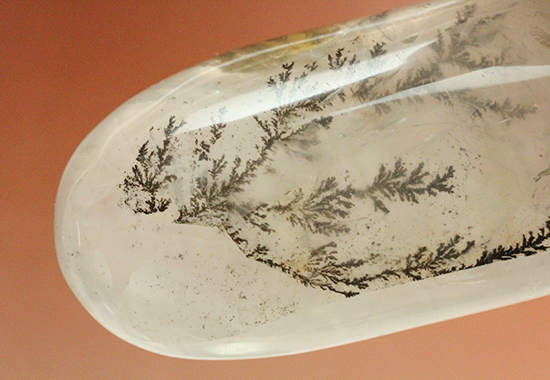 幻想世界を大サイズで。デンドライトが包まれたクオーツ(Dendritic Quartz)(その9)