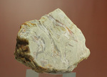 におっても大丈夫！生痕化石こと、恐竜のウンチ化石コプロライト(Coplorite)
