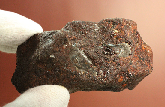 珍しい隕石　鉄隕石 thumbnail2.webp