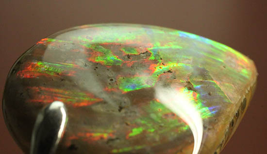 広い面で光ります。！レッド×グリーンがメインの鮮やかな雫型アンモナイトペンダントトップ(Ammonite)（その10）