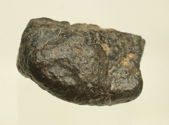 2000年にアフリカ大陸北西部で見つかった隕石NWA869（その1）
