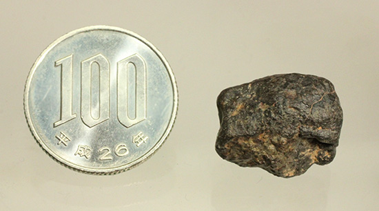 2000年にアフリカ大陸北西部で見つかった隕石NWA869（その5）