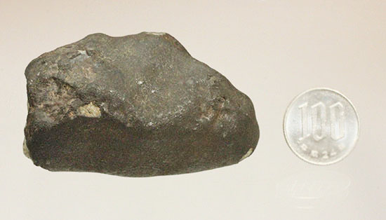 隕石名不明。見事な溶融表皮を伴う石質隕石（その11）