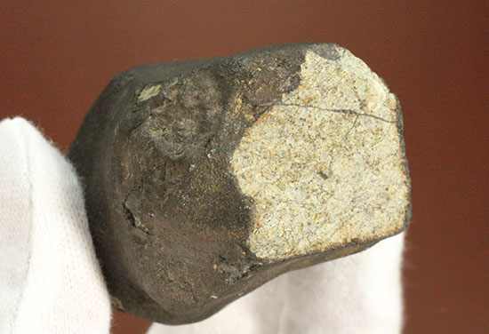 隕石名不明。見事な溶融表皮を伴う石質隕石（その7）